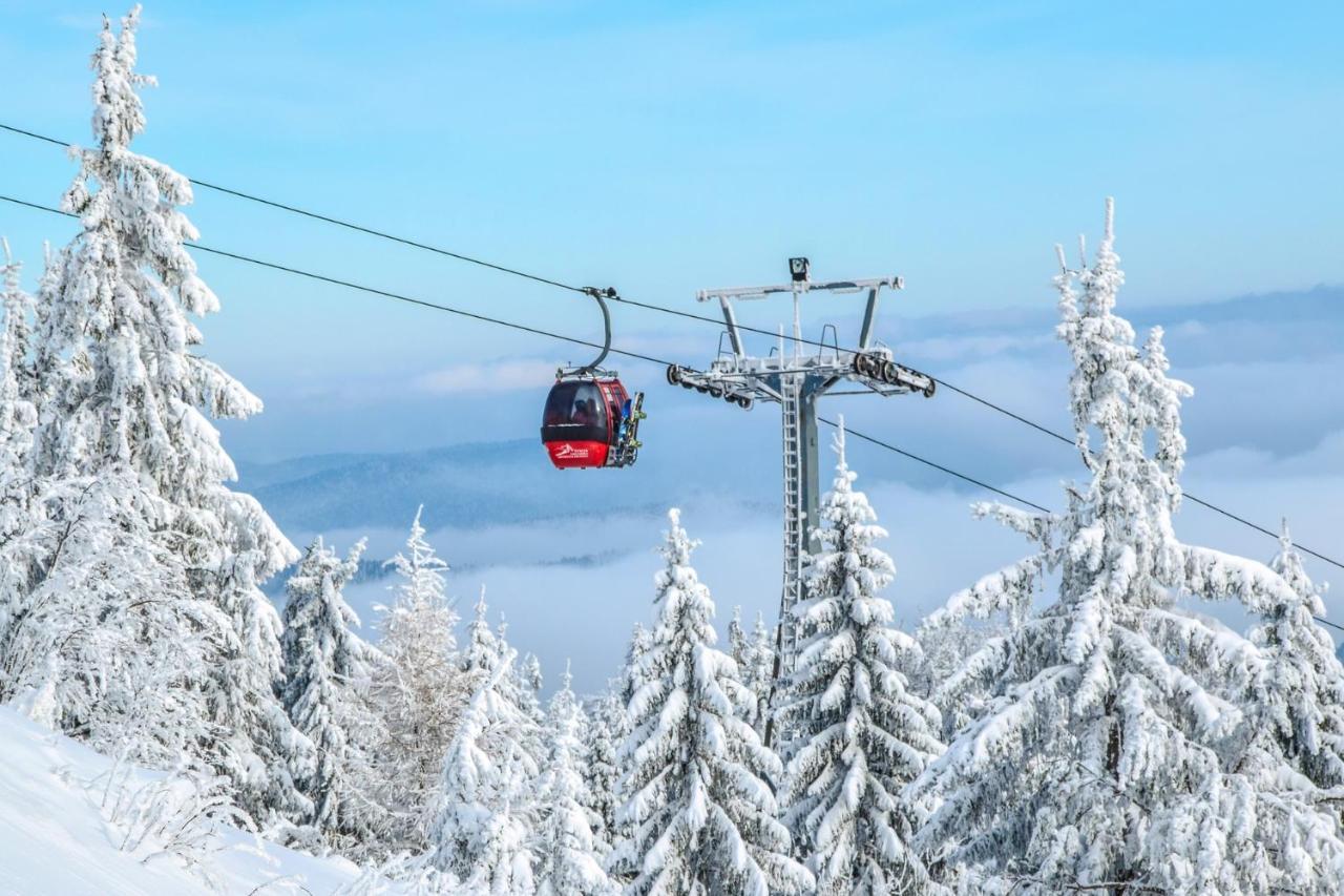 Bukova Lodge Bukowina Tatrzańska Buitenkant foto